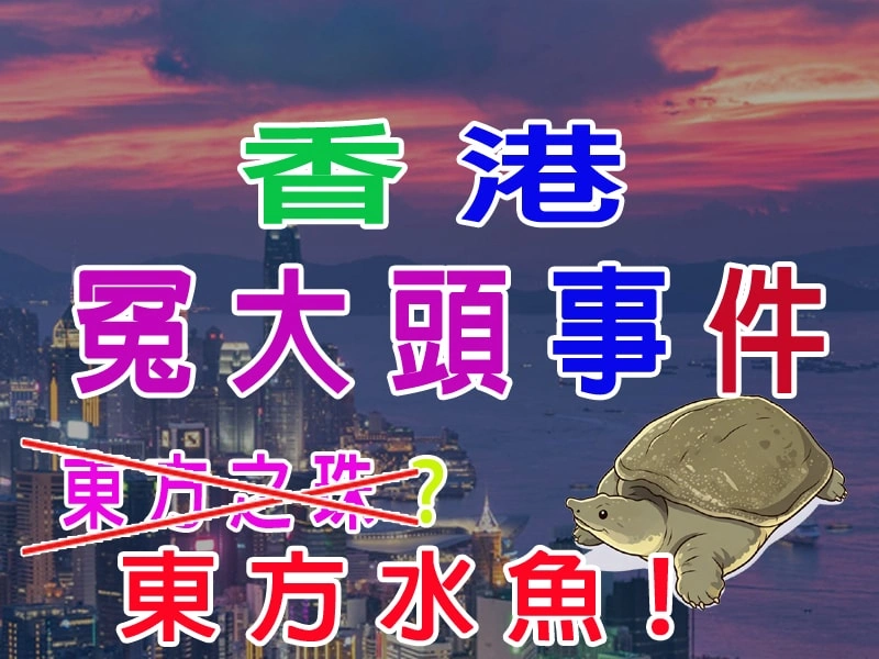 香港冤大頭事件