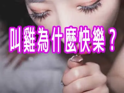 叫雞為什麼快樂？