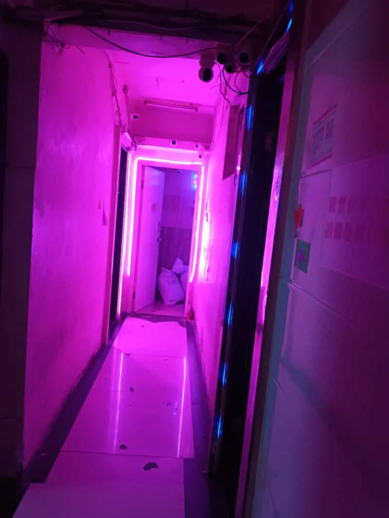 建興大廈 一樓一 叫雞攻略 2025