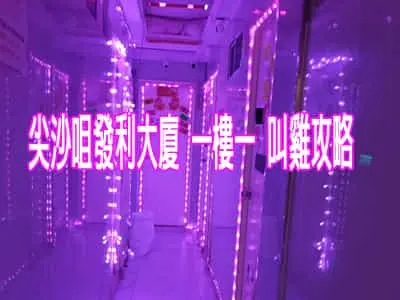 尖沙咀發利大廈 一樓一 叫雞攻略