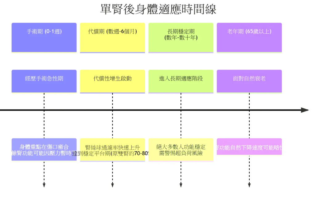 [有片]人割掉1個腎臟身體會發生什麼事