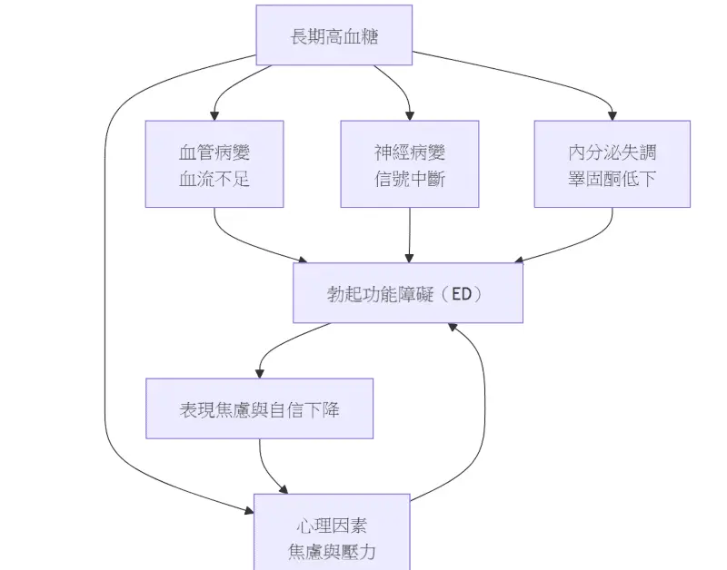 糖尿病對男性性功能的深遠影響