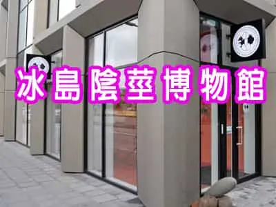 冰島陰莖博物館