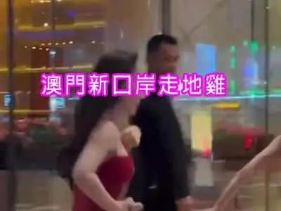 澳門新口岸走地雞