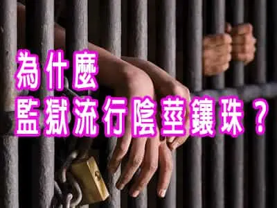 為什麼監獄流行陰莖鑲珠？