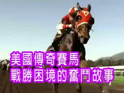 美國傳奇賽馬戰勝困境的奮鬥故事