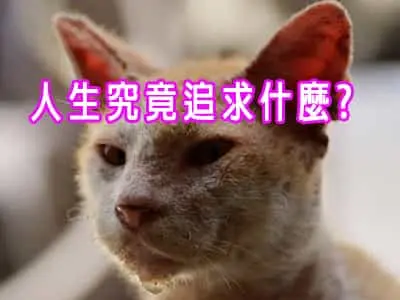 [有片]人生究竟追求什麼