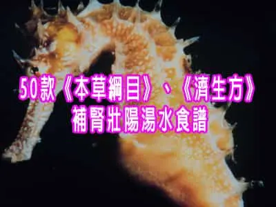 50款《本草綱目》、《濟生方》補腎壯陽湯水食譜