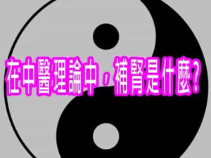 在中醫理論中，補腎是什麼