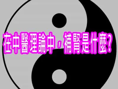 在中醫理論中，補腎是什麼