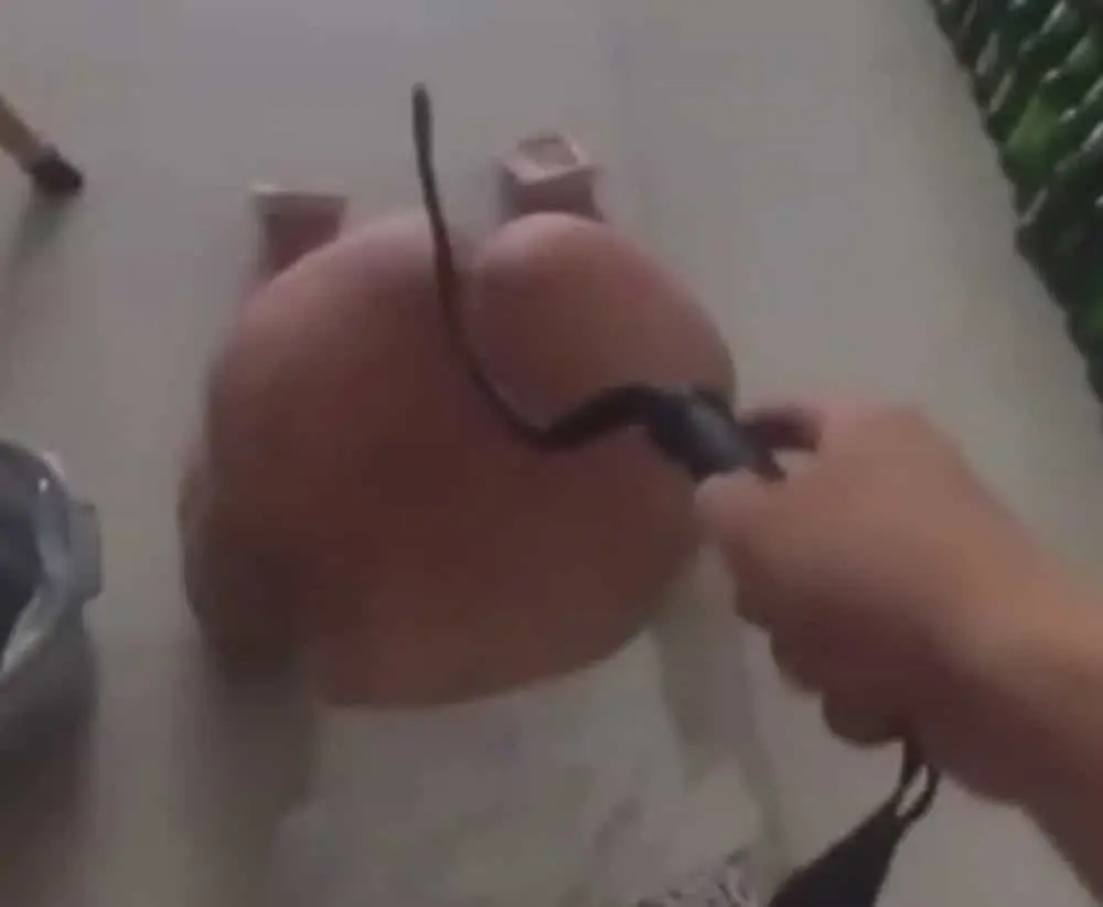 大快人心緬北詐騙殺人強姦犯白應蒼已被執行死刑