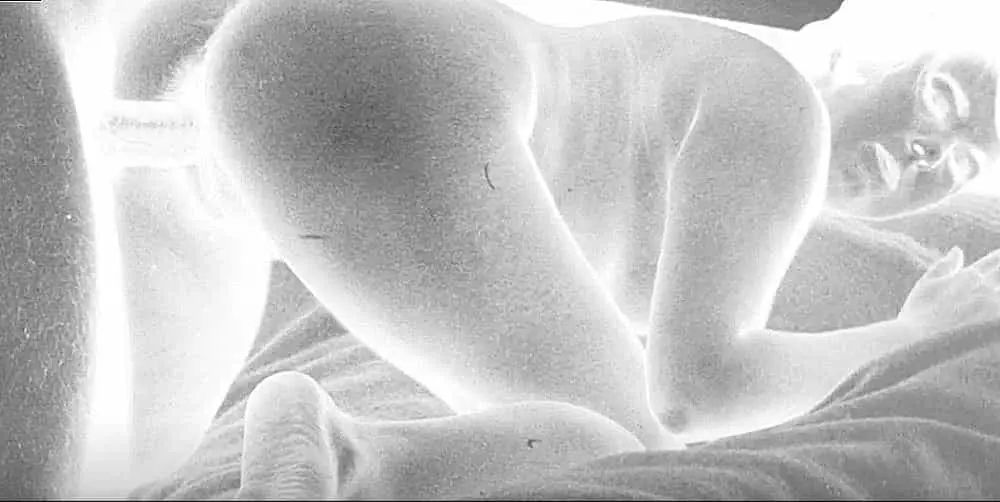 協調對齊性交技巧