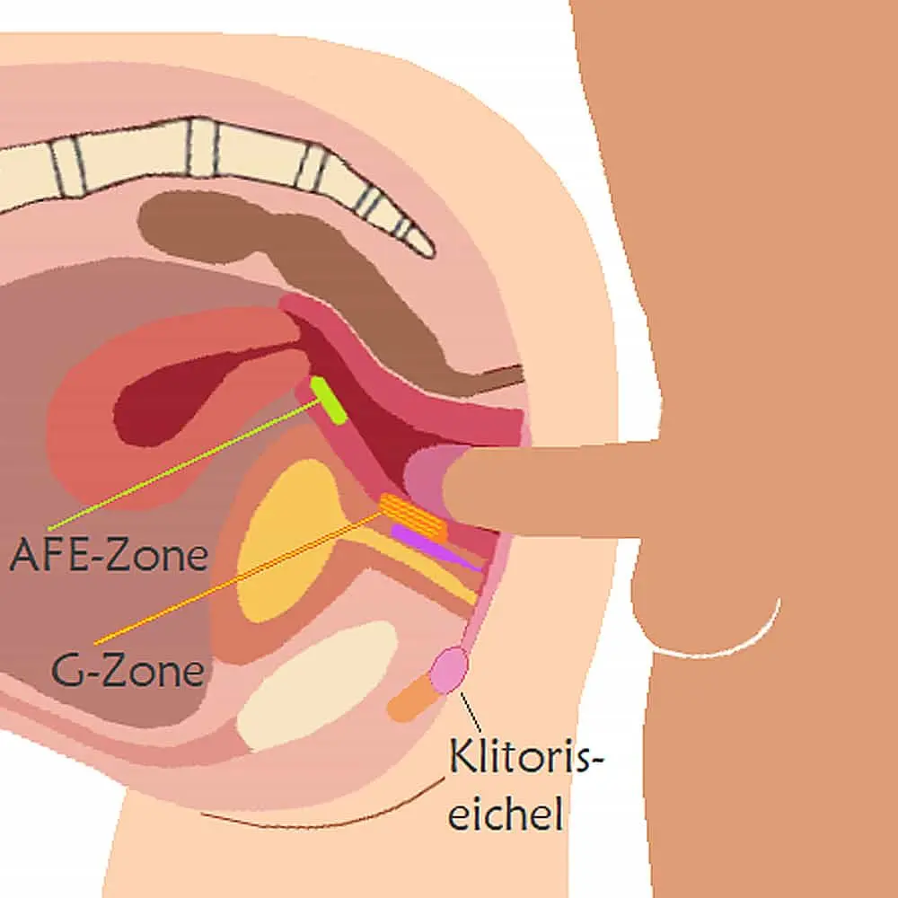 狗仔式性愛姿勢為什麼這麼爽?