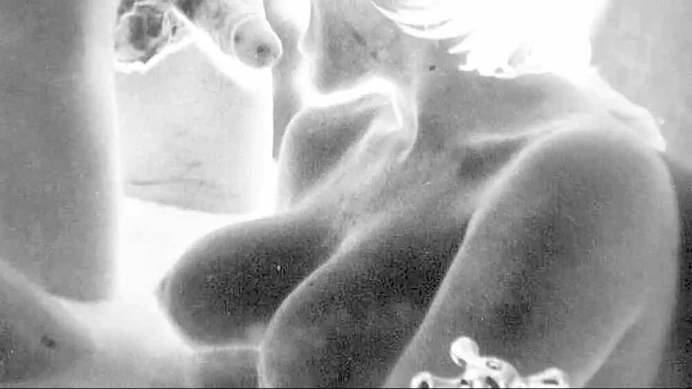 半蹲抱起式性交姿勢