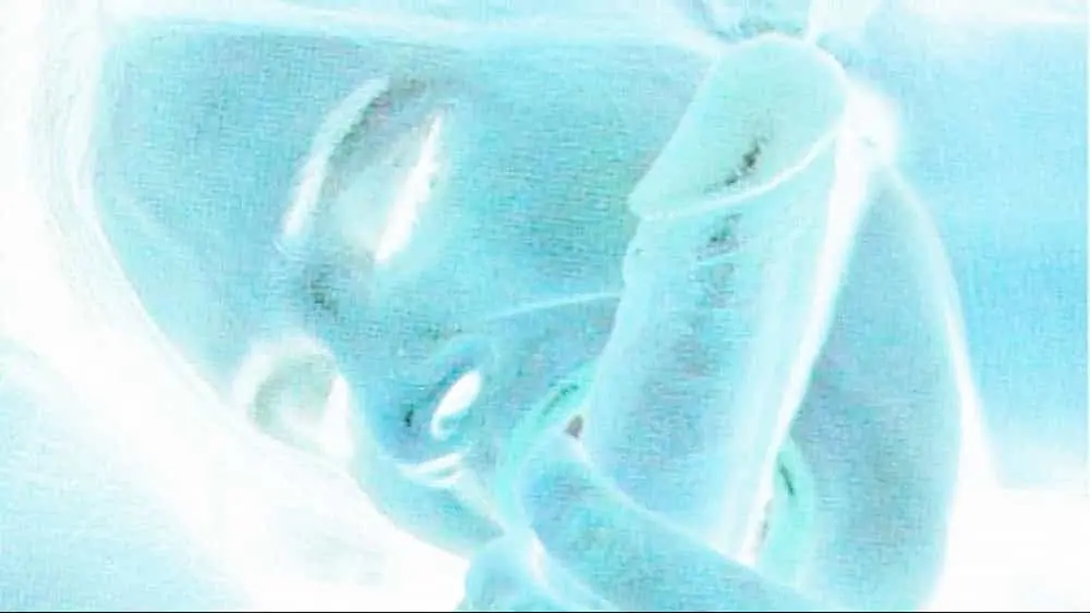 半蹲抱起式性交姿勢