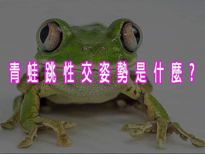 青蛙跳性交姿勢是什麼?