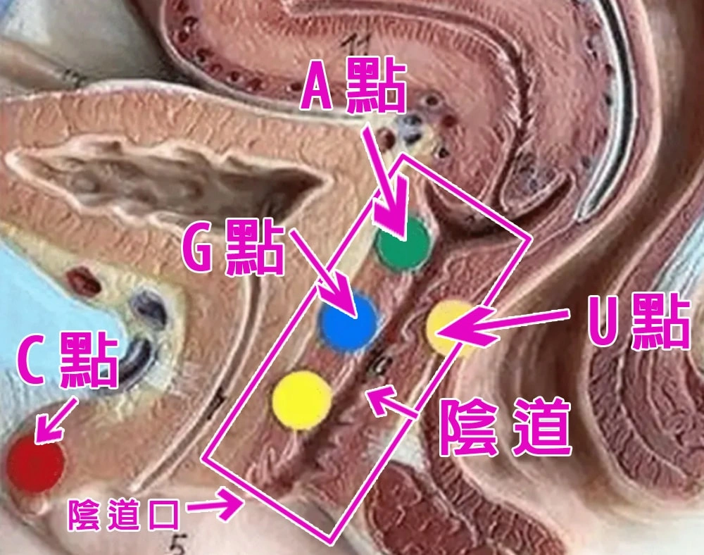 A點