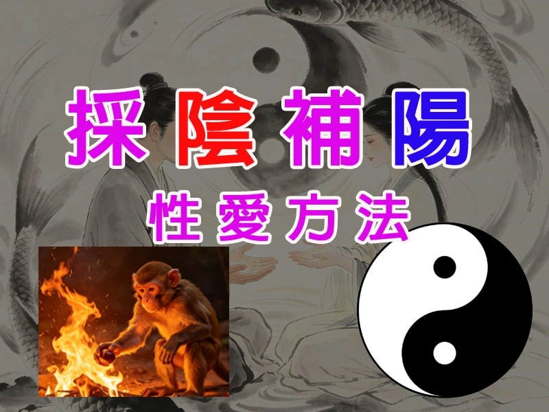 採陰補陽之性愛方法：技術細節的系統性整理